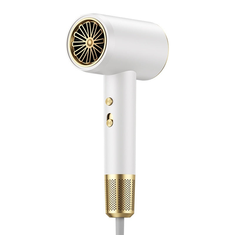 Hair Dryer Household High-power Barber Shop Anion Hair Care Electric Hair Dryer