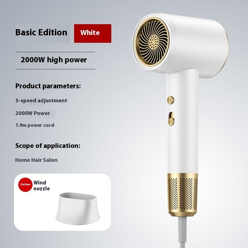 Hair Dryer Household High-power Barber Shop Anion Hair Care Electric Hair Dryer